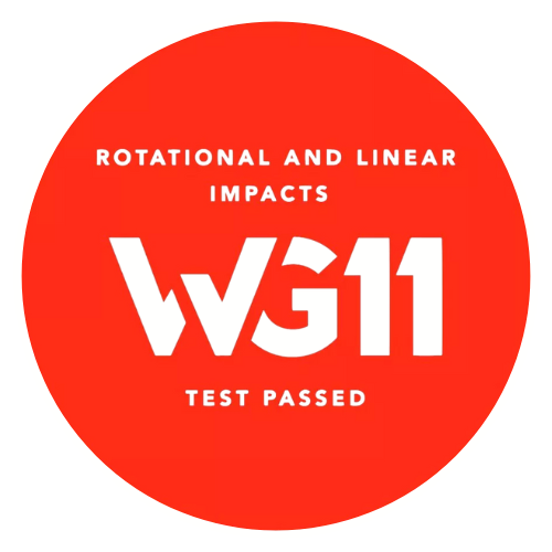 WG11